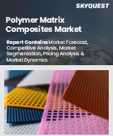 Polymer Matrix Composites Market