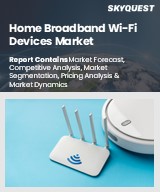 Global Home Broadband Wi-Fi Devices Market