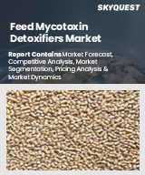 Feed Mycotoxin Detoxifiers Market