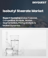 Global Isobutyl Stearate Market