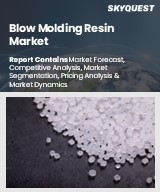 Global Blow Molding Resin Market