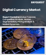 Global Digital Currency Market
