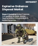 Global Explosive Ordnance Disposal Market