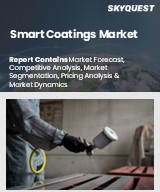 Global Smart Coatings Market