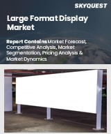 Global Large Format Display Market