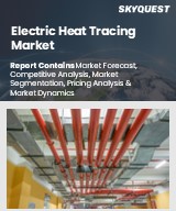 Global Electric Heat Tracing Market