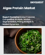 Global Algae Protein Market