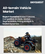 Global All-terrain Vehicle Market