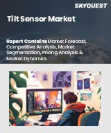 Global Animation Market