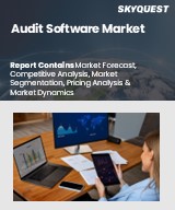 Global Audit Software Market