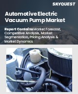 Global Automotive Electric Vacuum Pump Market