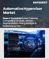Global Automotive Hypervisor Market