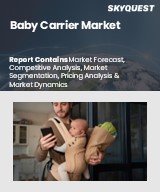 Global Baby Carrier Market
