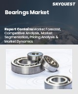 Global Bearings Market