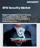 Global BFSI Security Market