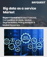 Global Big Data as a Service Market