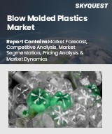 Global Blow Molded Plastics Market