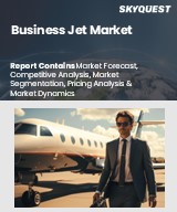 Global Business Jet Market