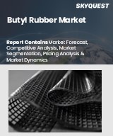 Global Butyl Rubber Market