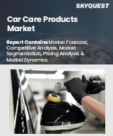 Global Car Care Products Market