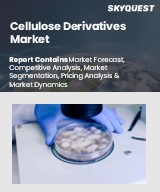 Global Cellulose Derivatives Market