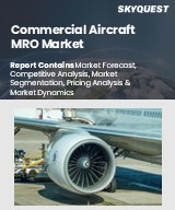 Global Commercial Aircraft MRO Market