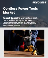 Global Cordless Power Tools Market