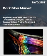Global Dark Fiber Market