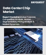Global Data Center Chip Market