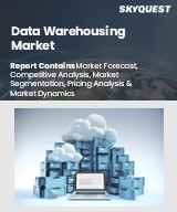 Global Data Warehousing Market