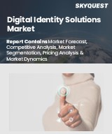 Global Digital Identity Solutions Market
