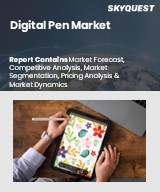 Global Digital Pen Market