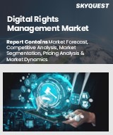 Global Digital Rights Management Market