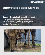 Global Downhole Tools Market