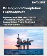 Global Drilling and Completion Fluids Market