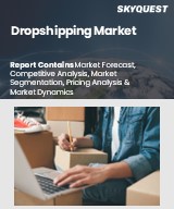 Global Dropshipping Market
