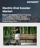 Global Electric Kick Scooter Market
