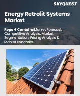Global Energy Retrofit Systems Market