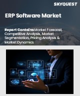 Global ERP Software Market