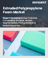 Global Extruded Polypropylene Foam Market