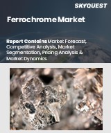 Global Ferrochrome Market