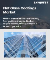 Global Flat Glass Coatings Market