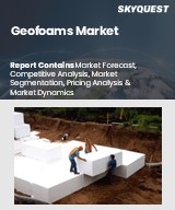Global Geofoams Market
