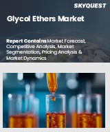Global Glycol Ethers Market