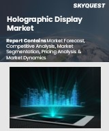 Global Holographic Display Market