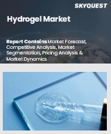 Global Hydrogel Market
