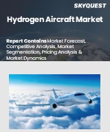 Global Hydrogen Aircraft Market