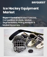 Global Ice Hockey Equipment Market