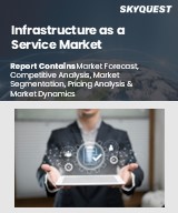 Global Infrastructure as a Service Market