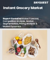 Global Instant Grocery Market